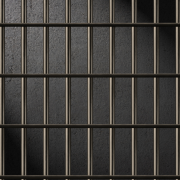 Screen Shot 2024-04-29 at 12.09.15 PM jail bars