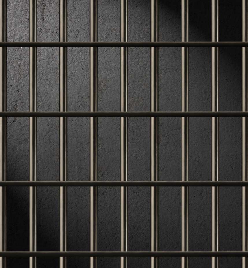 Screen Shot 2024-04-29 at 12.09.15 PM jail bars